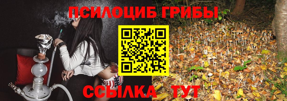 Великий Новгород  Галлюциногенные грибы прущие грибы  Галлюциногенные грибы Magic Shrooms  Вход с VPN 